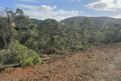 2ede6f8532498a734391c5f069607224 - 14