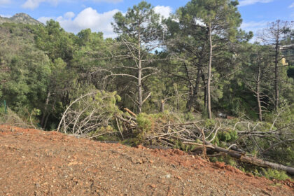 2ede6f8532498a734391c5f069607224 - 15