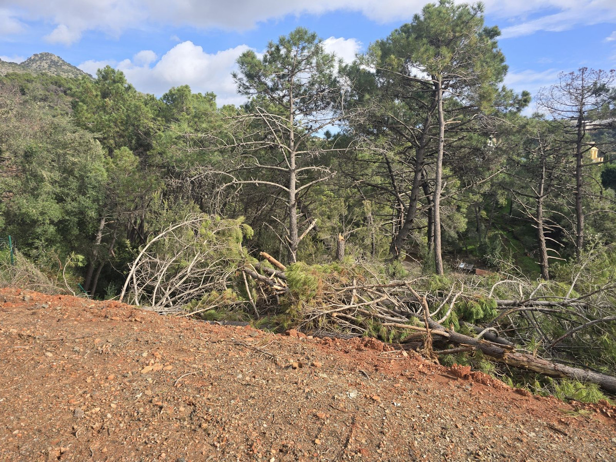 2ede6f8532498a734391c5f069607224 - 15