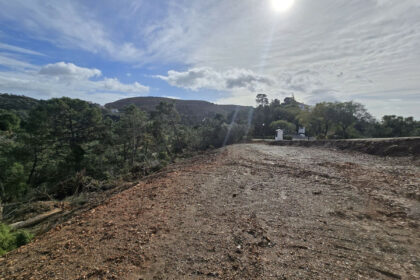 2ede6f8532498a734391c5f069607224 - 16