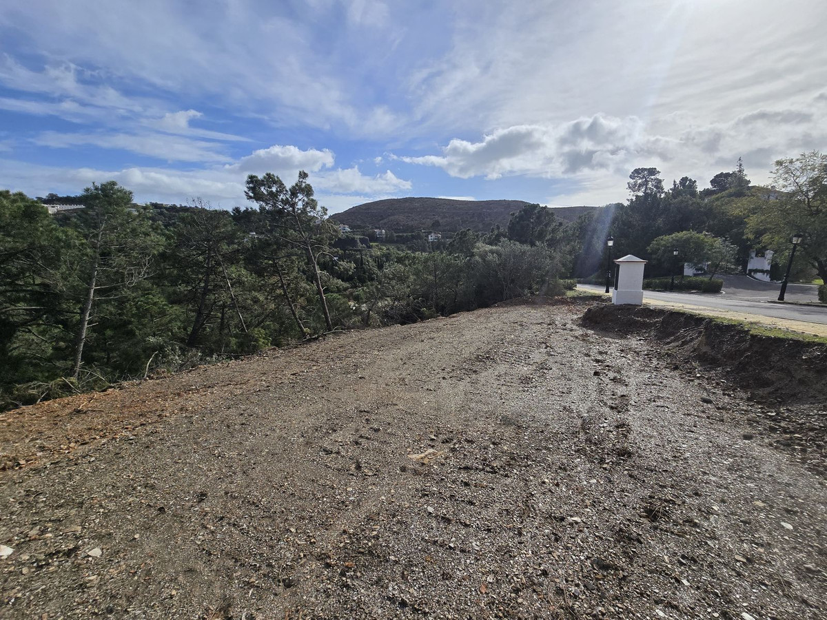 2ede6f8532498a734391c5f069607224 - 17