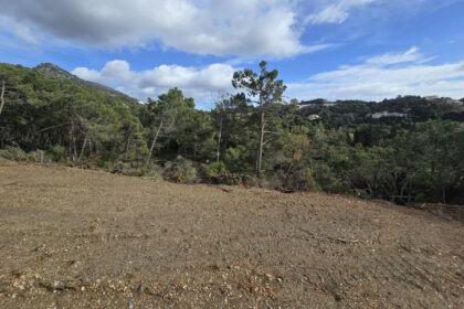 2ede6f8532498a734391c5f069607224 - 7