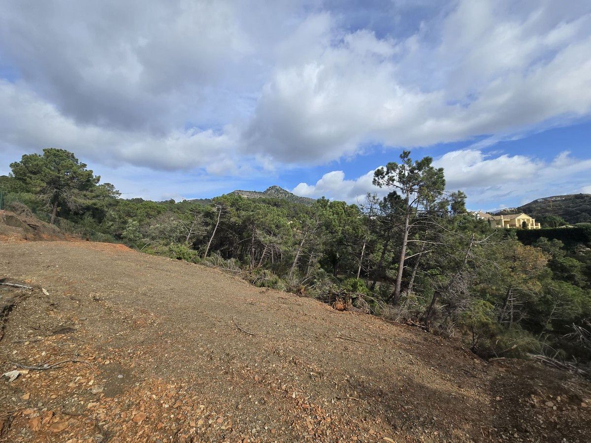 2ede6f8532498a734391c5f069607224 - 8