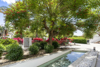 2fe269b67174df532ed2ea72ffc7e18c - 25