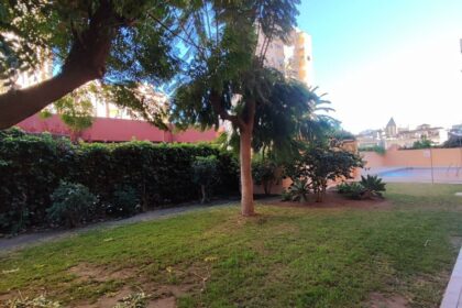 3195427a84980537c8d106058d89af1e - 23