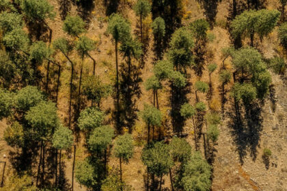 34c895303c74853acba227f3bca7ddbb - 5