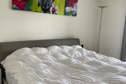 356c1b2609a239b240c303bd5844d91f - 11