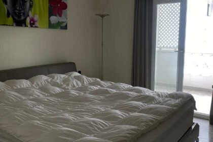 356c1b2609a239b240c303bd5844d91f - 7