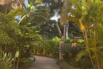 39bf0195eb5d51e6407d2a86d42c3154 - 16