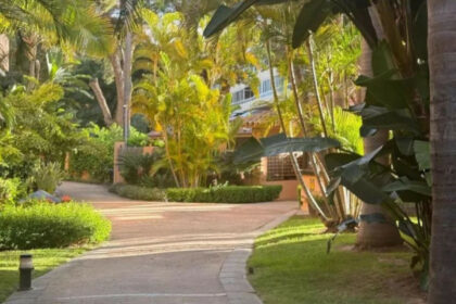 39bf0195eb5d51e6407d2a86d42c3154 - 18