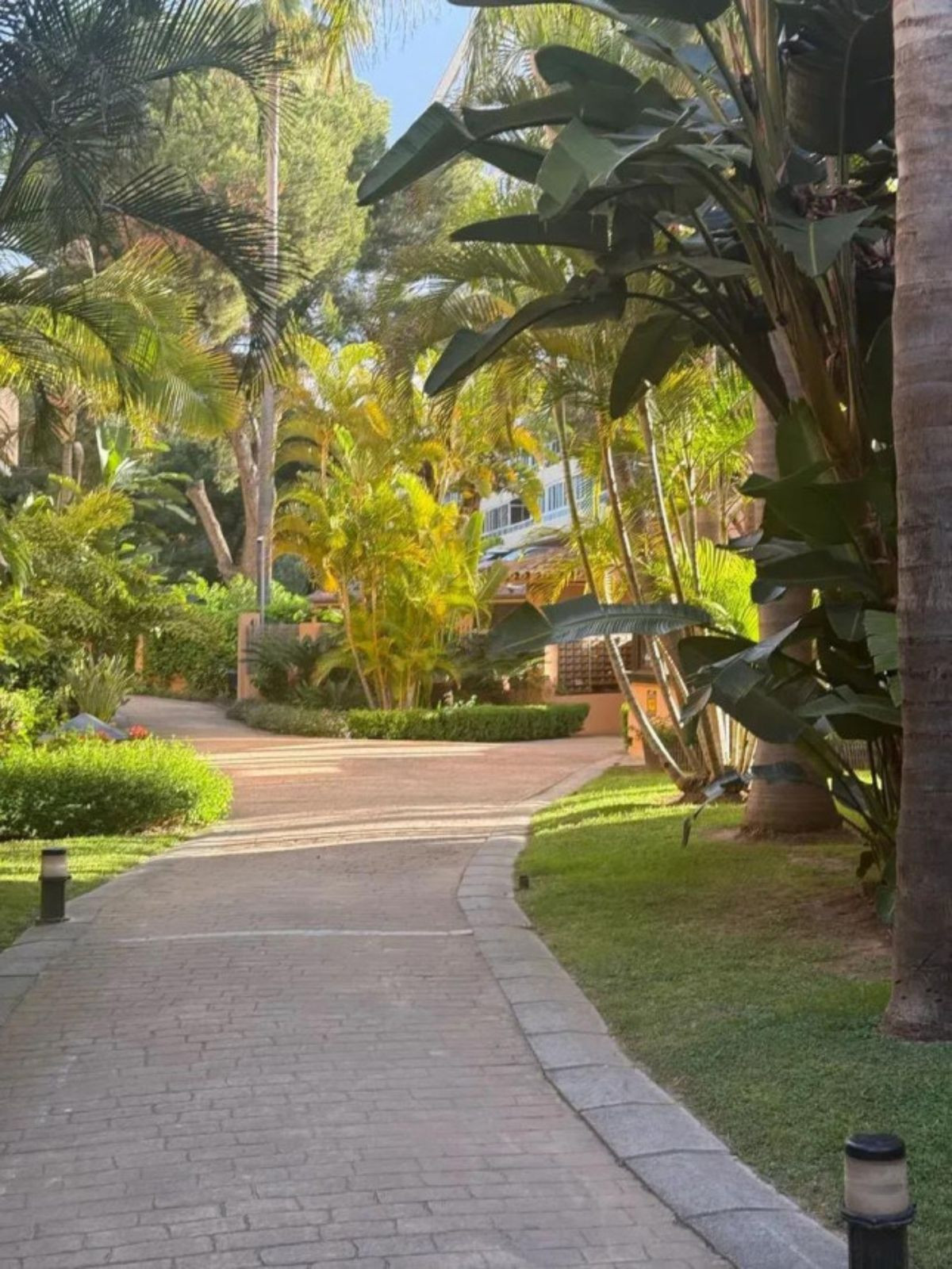 39bf0195eb5d51e6407d2a86d42c3154 - 18