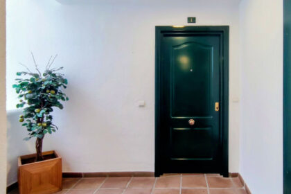 3e06f57acbac971873c67ab11ab441a1 - 29