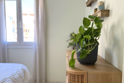 41d4651af4b00c65dc6a313f0d0bbcc7 - 31