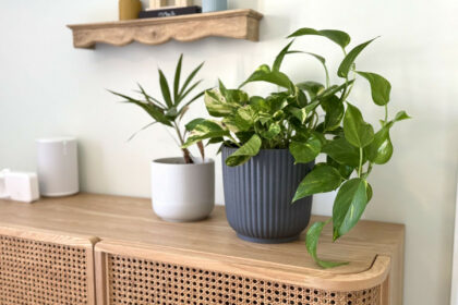 41d4651af4b00c65dc6a313f0d0bbcc7 - 32