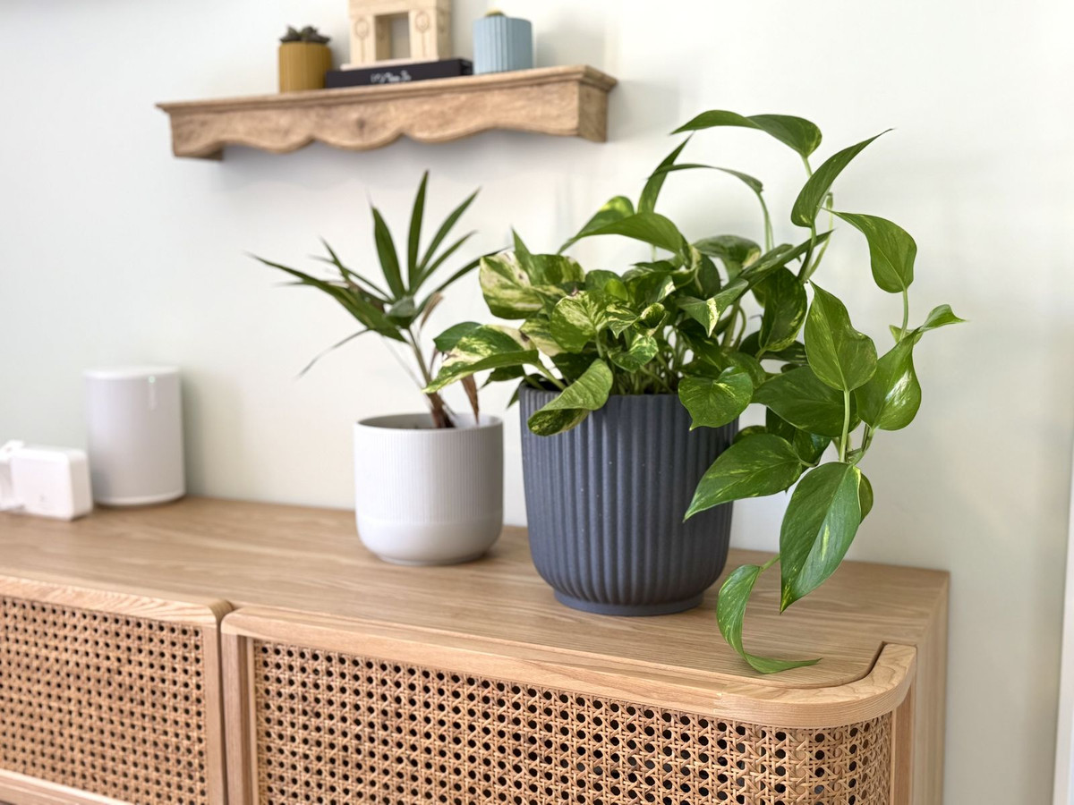 41d4651af4b00c65dc6a313f0d0bbcc7 - 32