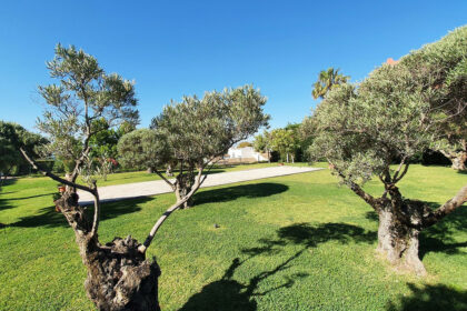 4a1db00960b8e69f4865fcdbc72c26c7 - 21