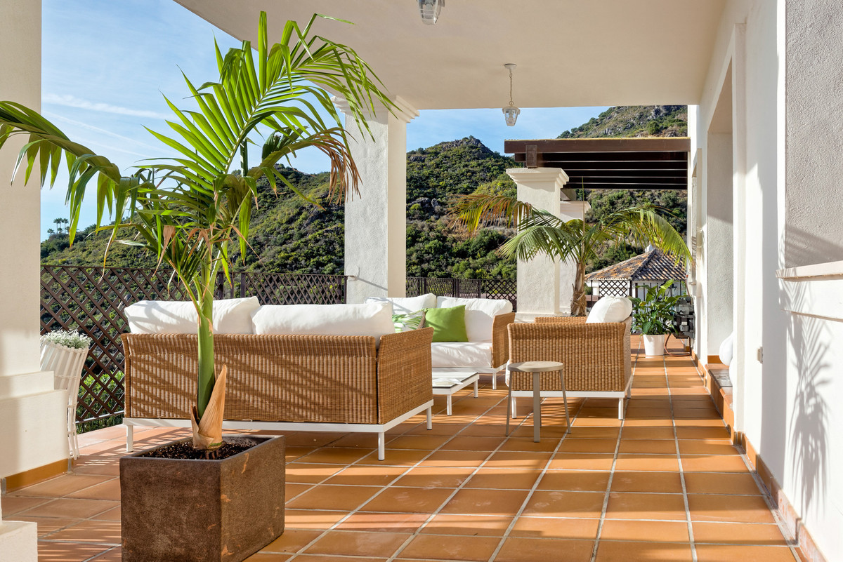 4ec49dcd5e445004433481b216afcb8d - 41