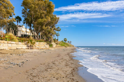 533d947c110d3afe80ab3c25cb802573 - 29