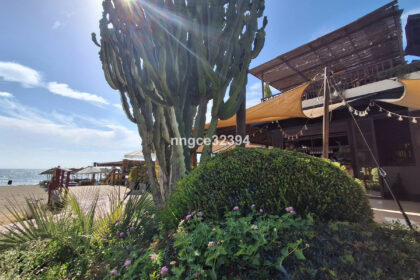 54524dfaef1538ab0758360f337cf8a8 - 40