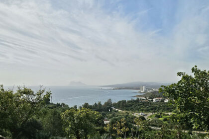 58ca3178fd6dabdd165ea188504a8166 - 8