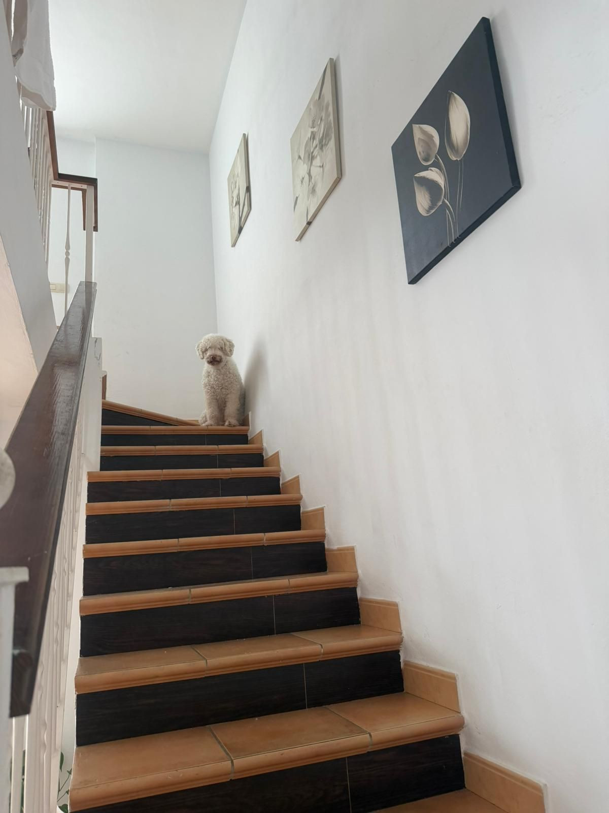 5df3818cd45d5930cdb5adb45bc9877a - 4