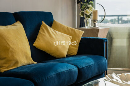 5f097f64d527d83497a8c53166b3bc66 - 24