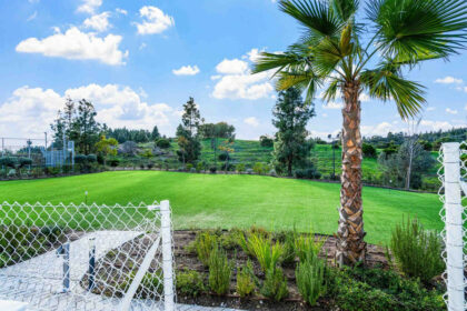 6b3cfd50f11f6d1038fa8905f10b873a - 4