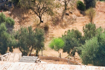 704b5b5d06f5343c5fa15601da103b49 - 21