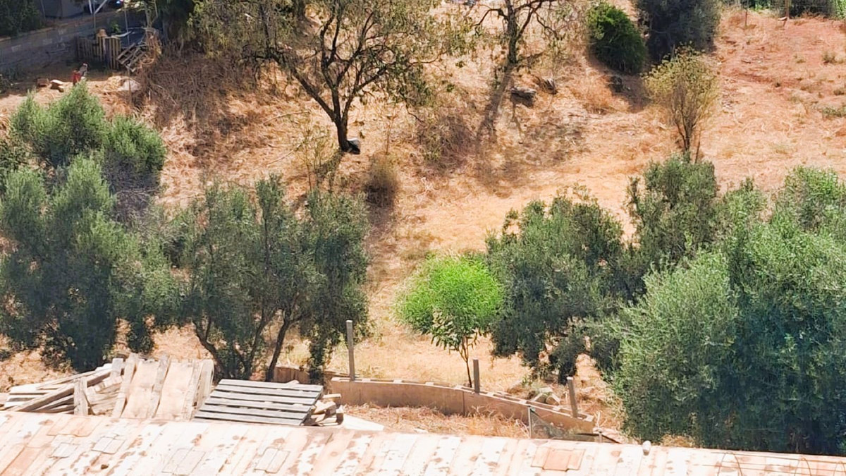 704b5b5d06f5343c5fa15601da103b49 - 21