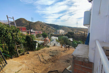 704b5b5d06f5343c5fa15601da103b49 - 25