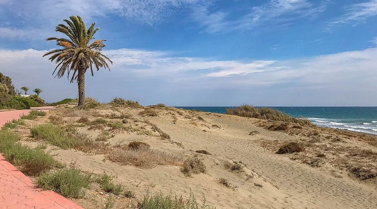 71b5709dcc6ff10fdb27874d24ece7bf - 16