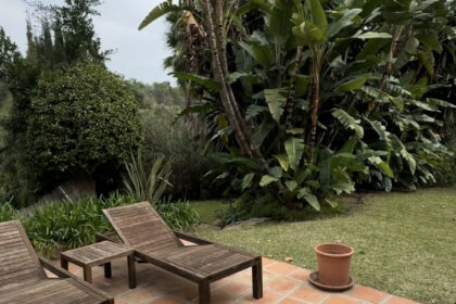 733c56ef74201cfab299c618f09eac70 - 36