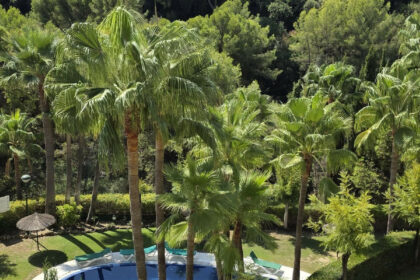 74247655592af2487d92a8e986b7dc41 - 1