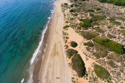 76a2137bc838983a23f5d97880551f1b - 53