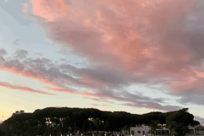 76a2137bc838983a23f5d97880551f1b - 54