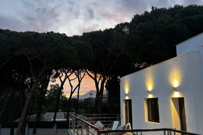 76a2137bc838983a23f5d97880551f1b - 55