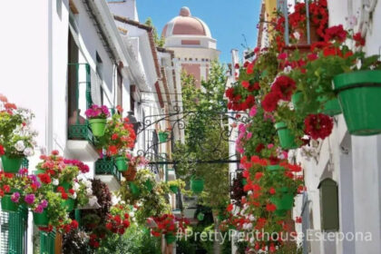 76d0e80a5a89384d6879da575ee543f6 - 23