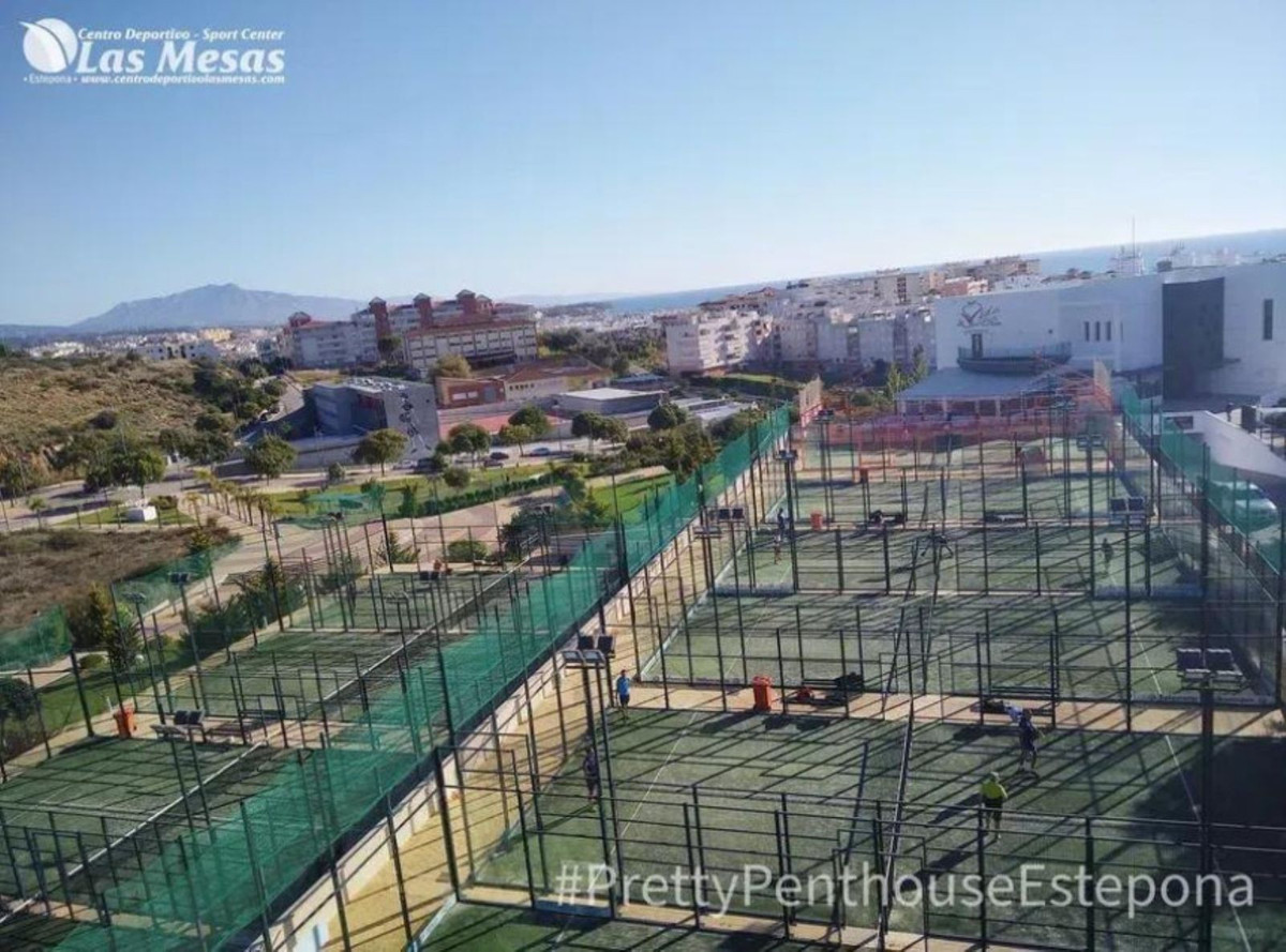 76d0e80a5a89384d6879da575ee543f6 - 24