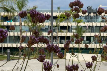 784249ac2e62b03c78fee20900d7771d - 35