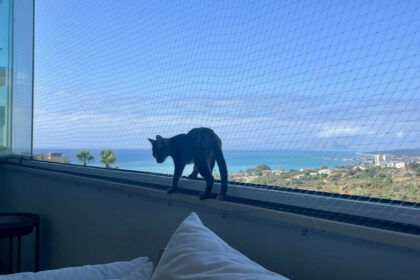 7ba2df8163121e5a845e7decaee870f0 - 24