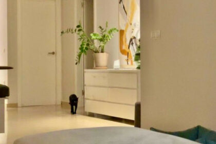 7ba2df8163121e5a845e7decaee870f0 - 8