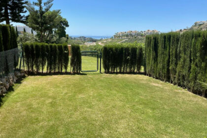 7ccbd9b0d245b249cab01ccf392b99f7 - 13