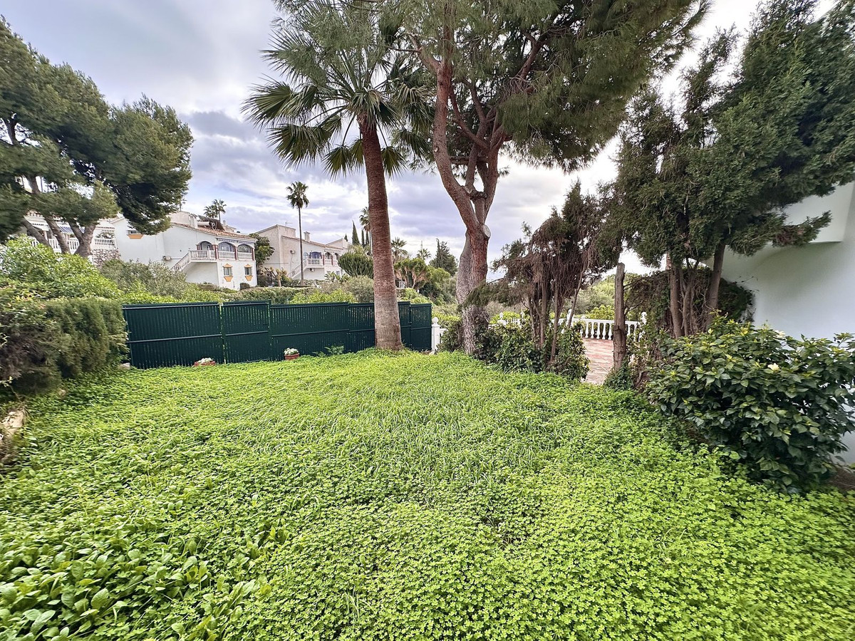 83275d7ef9347bc960ca5bc48f735a1c - 29