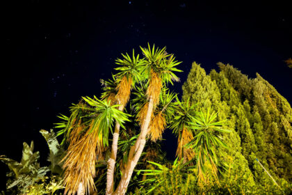 837ea9ddbfd28b18489c243c1ae86efd - 28