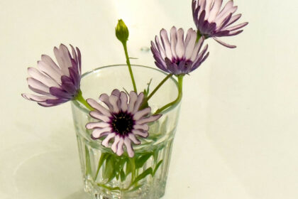 837ea9ddbfd28b18489c243c1ae86efd - 43