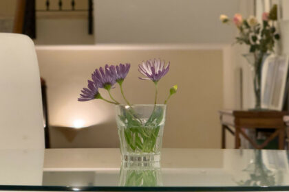 837ea9ddbfd28b18489c243c1ae86efd - 44