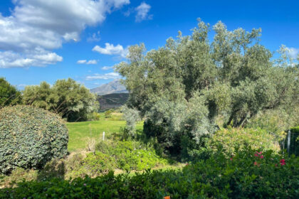 837ea9ddbfd28b18489c243c1ae86efd - 8