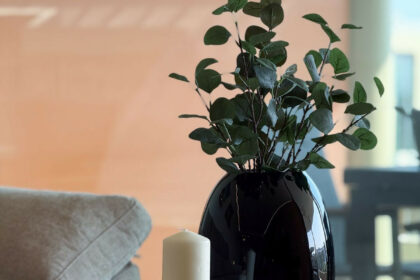 88eda6d931a1e4ca1609c5a047f471c0 - 18