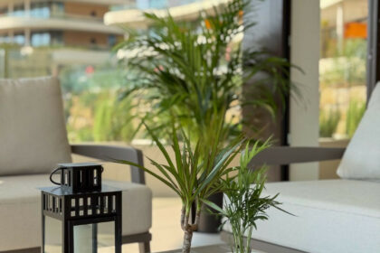 88eda6d931a1e4ca1609c5a047f471c0 - 6