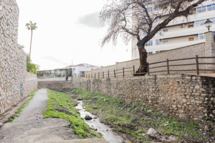 8ccc225d929b28eabc06ad49167ac58f - 19